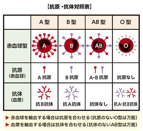 若山獅因|獅山古道群O型(2021/05/16)